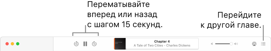 Плеер аудиокниг в&nbsp;приложении «Книги». Слева направо показаны кнопки «Скорость воспроизведения», «Перемотка вперед», «Перемотка назад», название и&nbsp;автор воспроизводимой аудиокниги, бегунок громкости и&nbsp;кнопка оглавления.