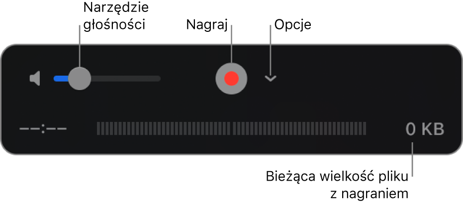 Narzędzia nagrywania, w&nbsp;tym narzędzia głośności, przycisk nagrywania oraz menu podręczne opcji.